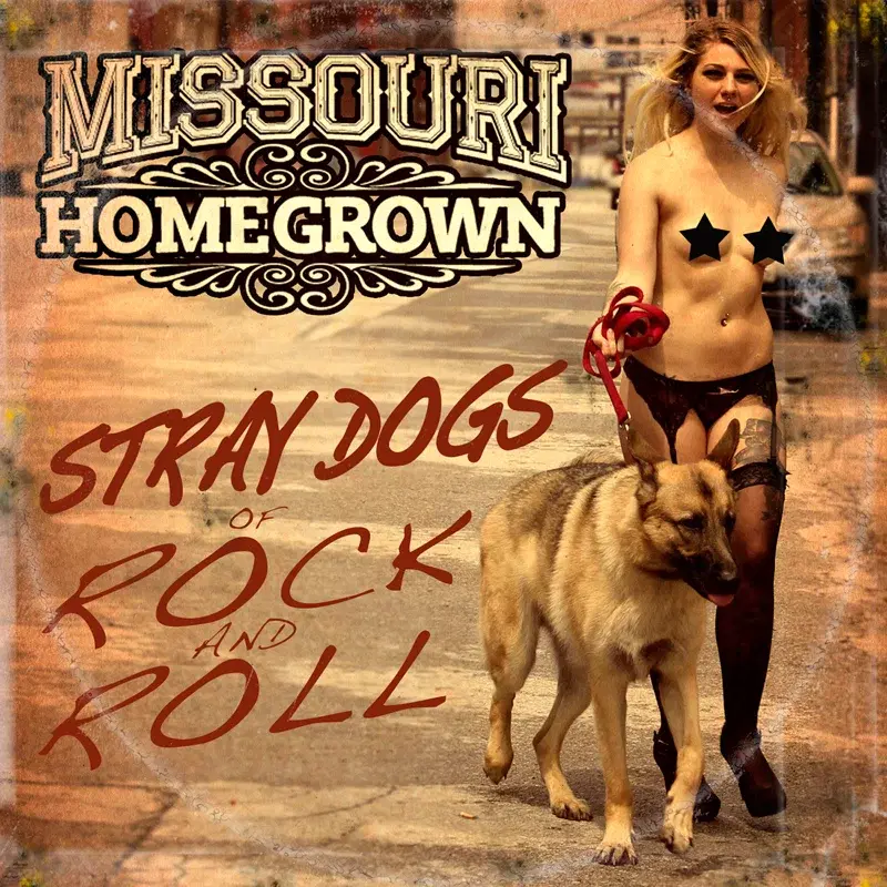Stray Dogs of Rock and Roll