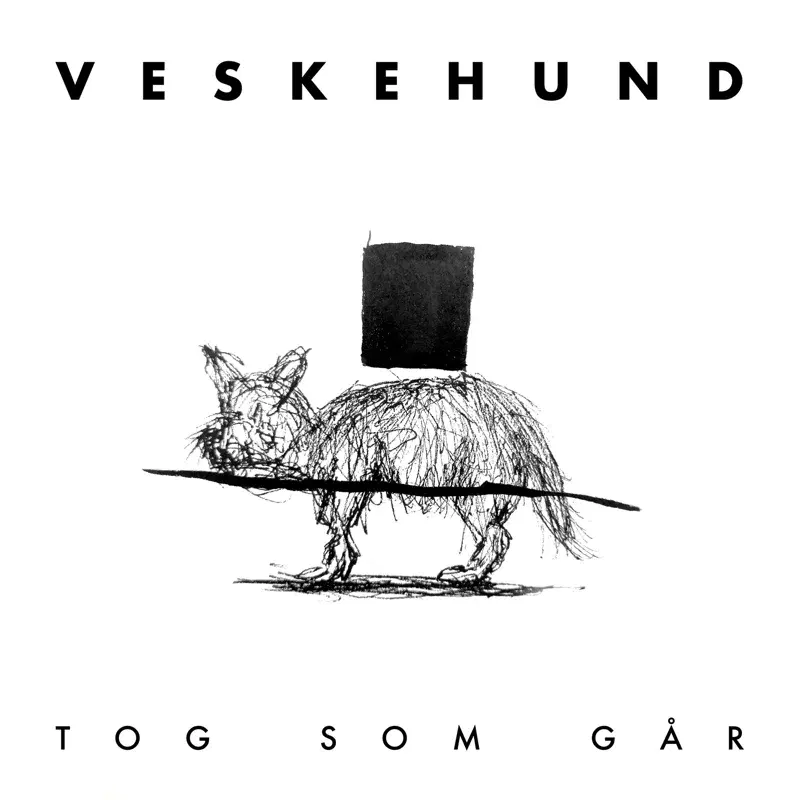 Tog Som Går