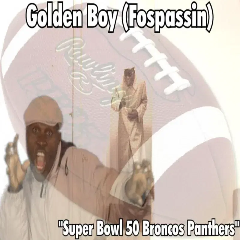 Super Bowl 50 Broncos Panthers