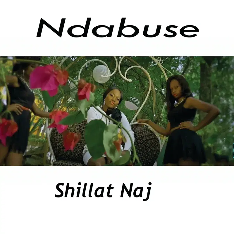Ndabuse