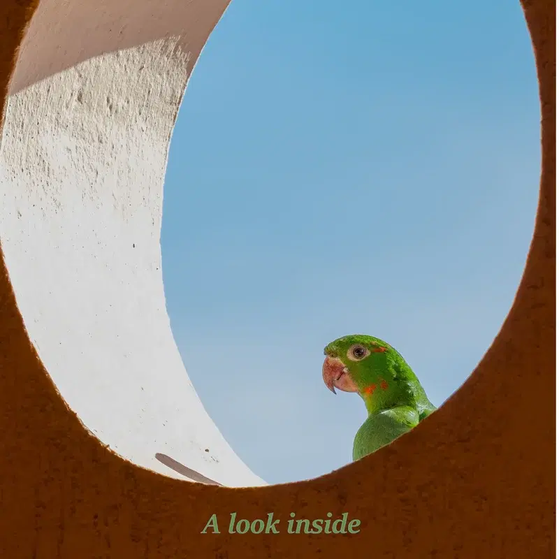 Cover Art
