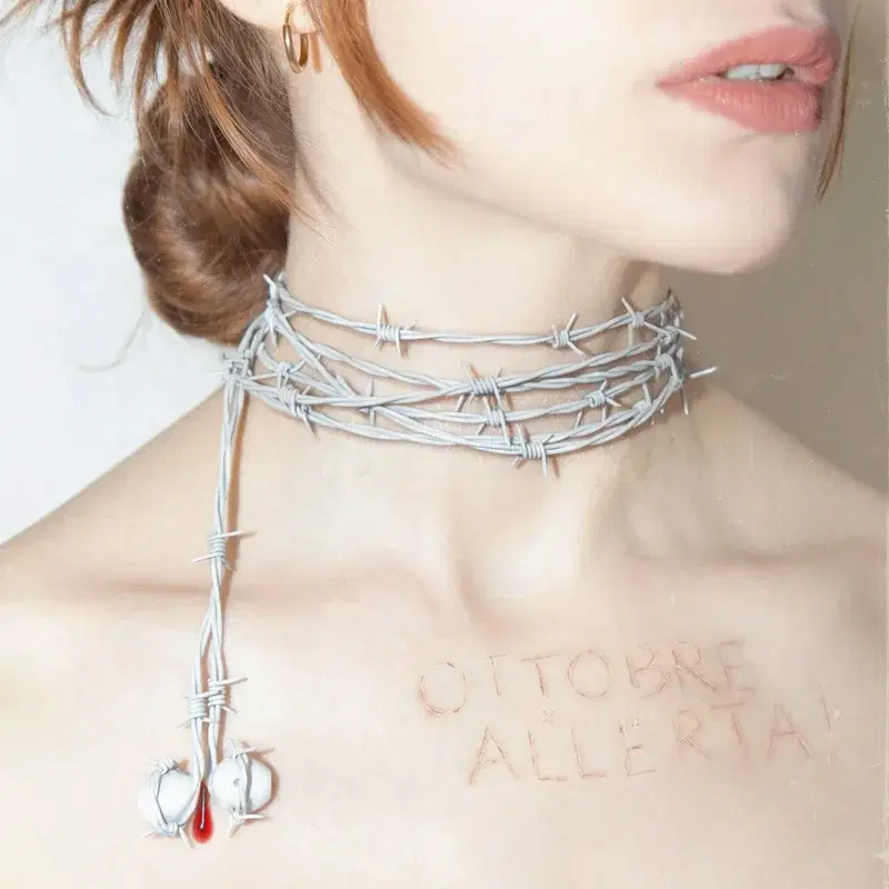 spine