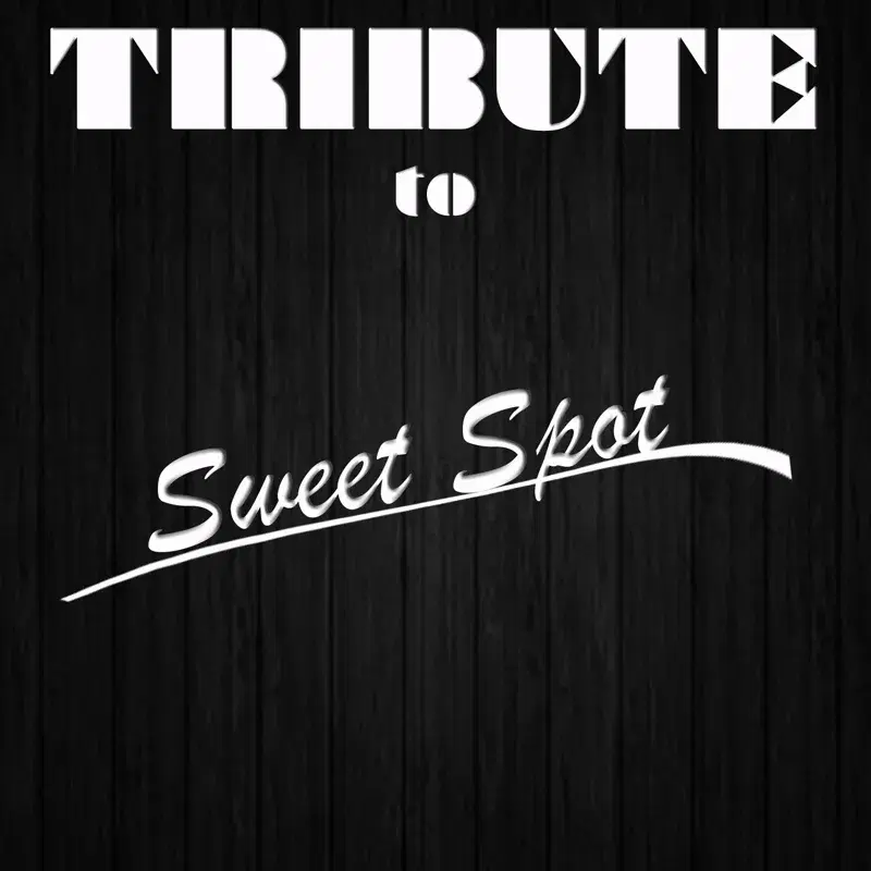 Sweet Spot (Instrumental Tribute to Flo Rida feat. Jennifer Lopez)