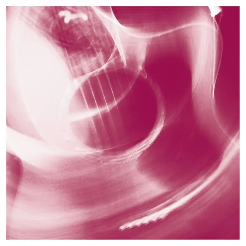 Solo Acoustic, Vol. 14