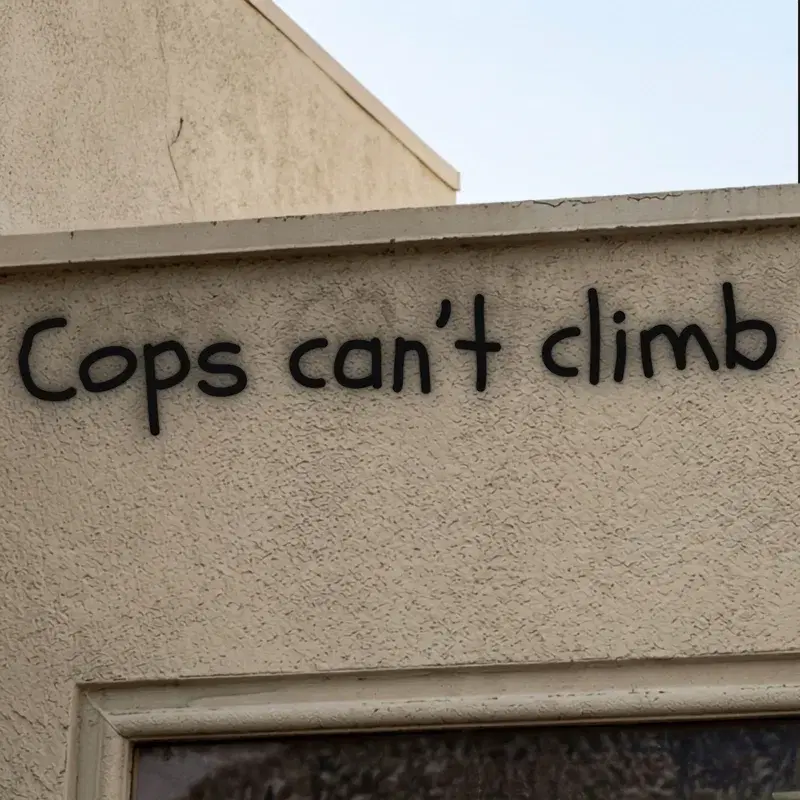COPS CAN'T CLIMB