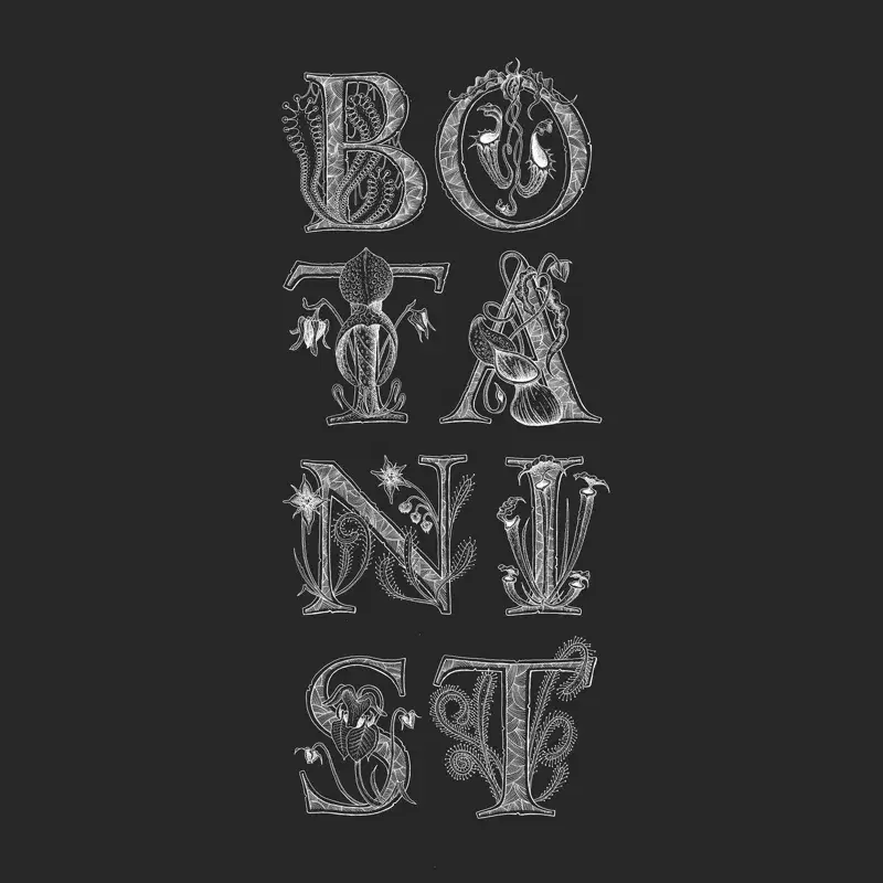Bacteria
