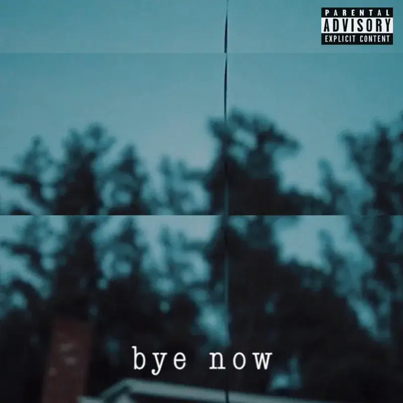 Bye Now