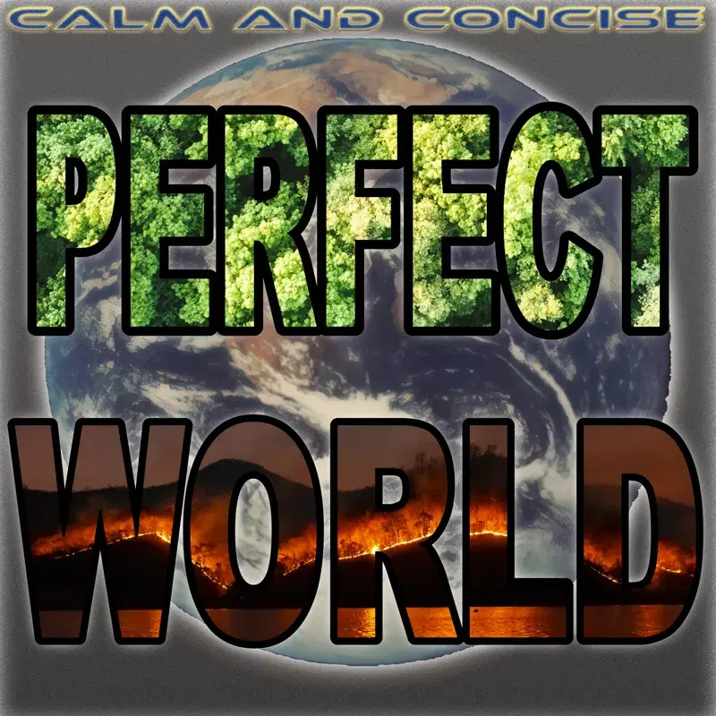 Perfect World