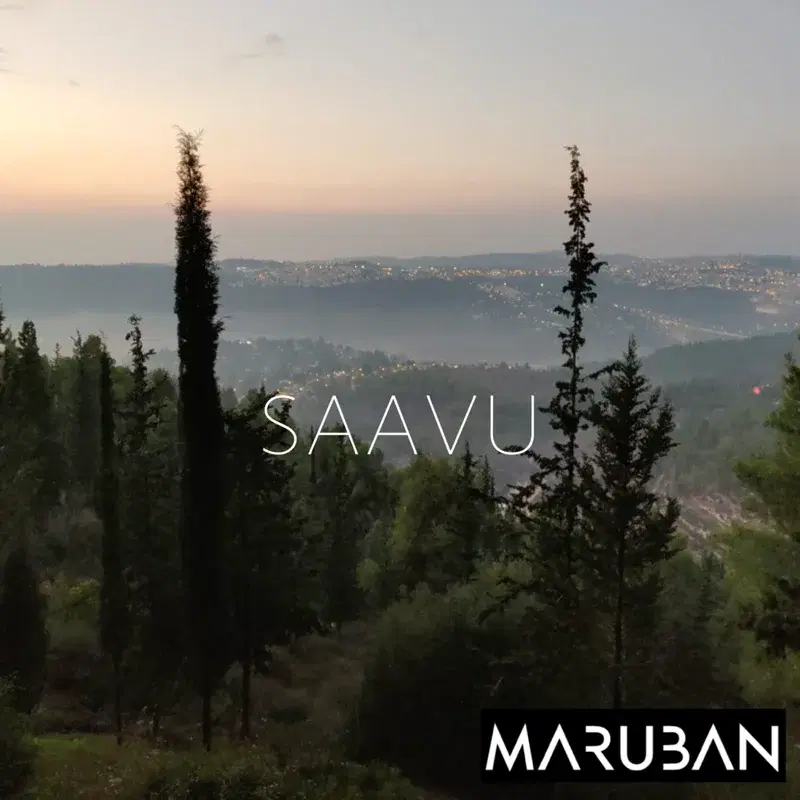 Saavu