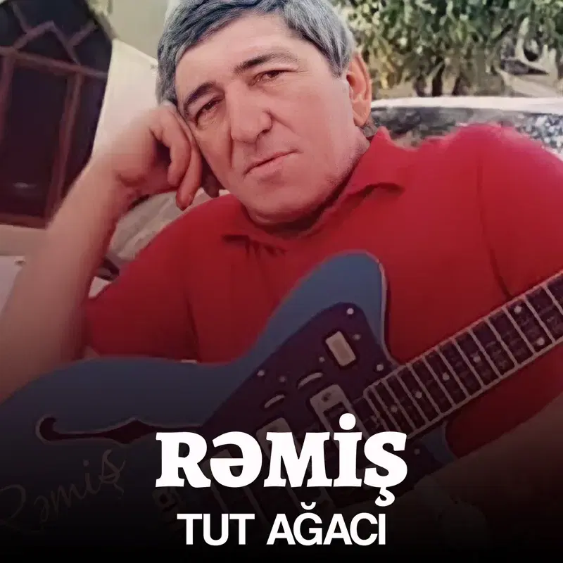 Tut Ağacı