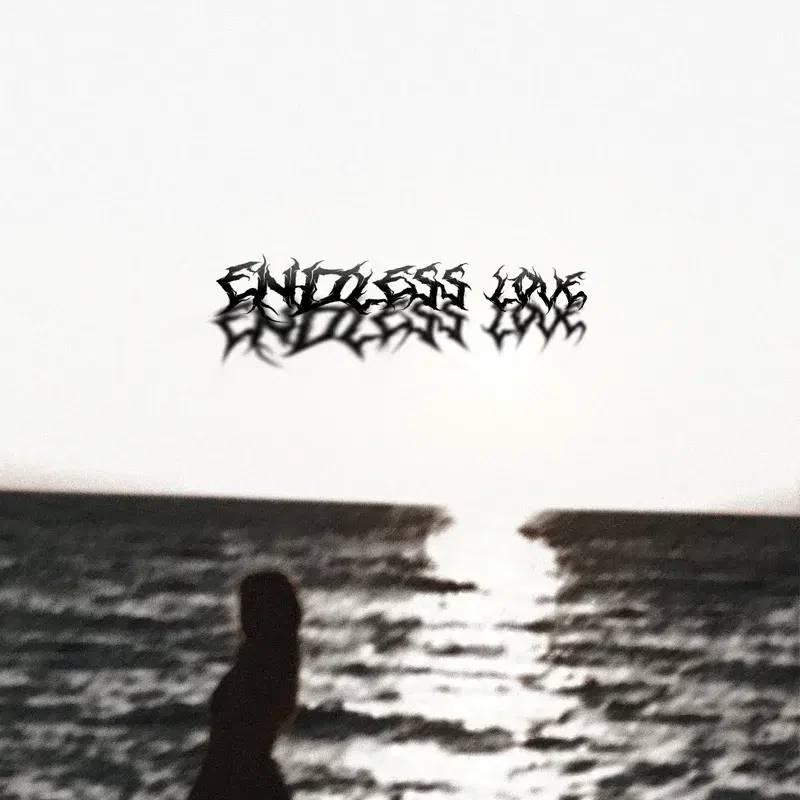 ENDLESS LOVE