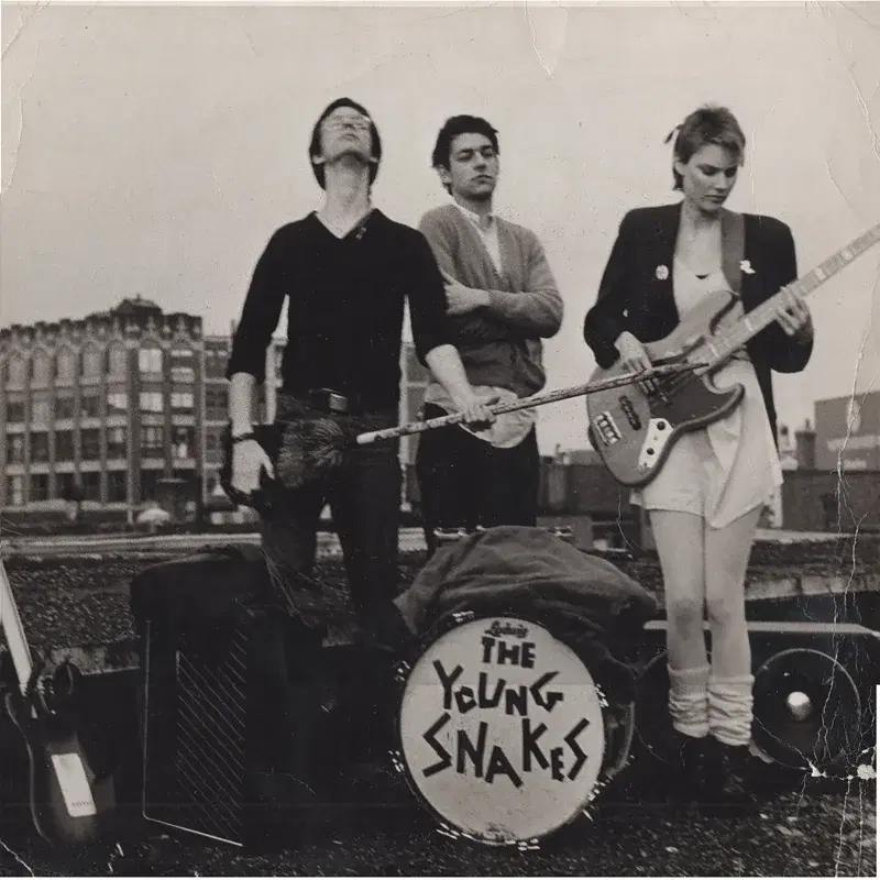 Young Snakes