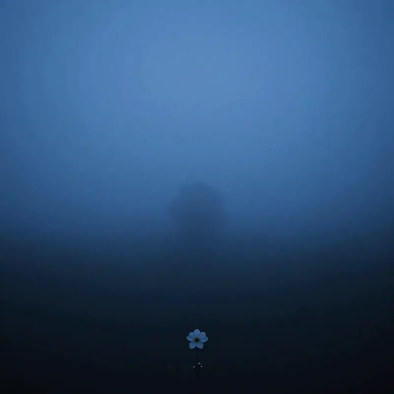 The Geometry of Absence