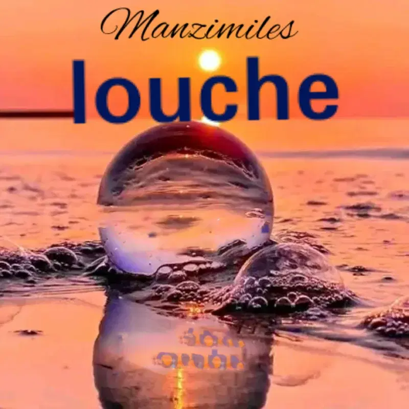 Louche