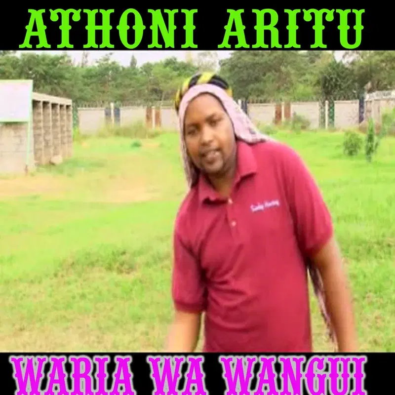 Athoni Aritu