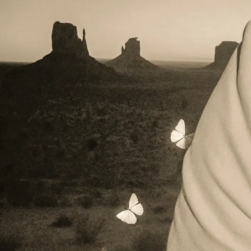 May the butterflies kiss on our noses