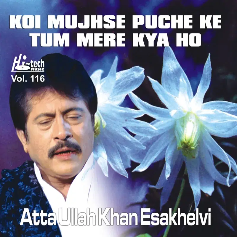 Koi Mujhse Puche Ke Tum Mere Kya Ho Vol. 116