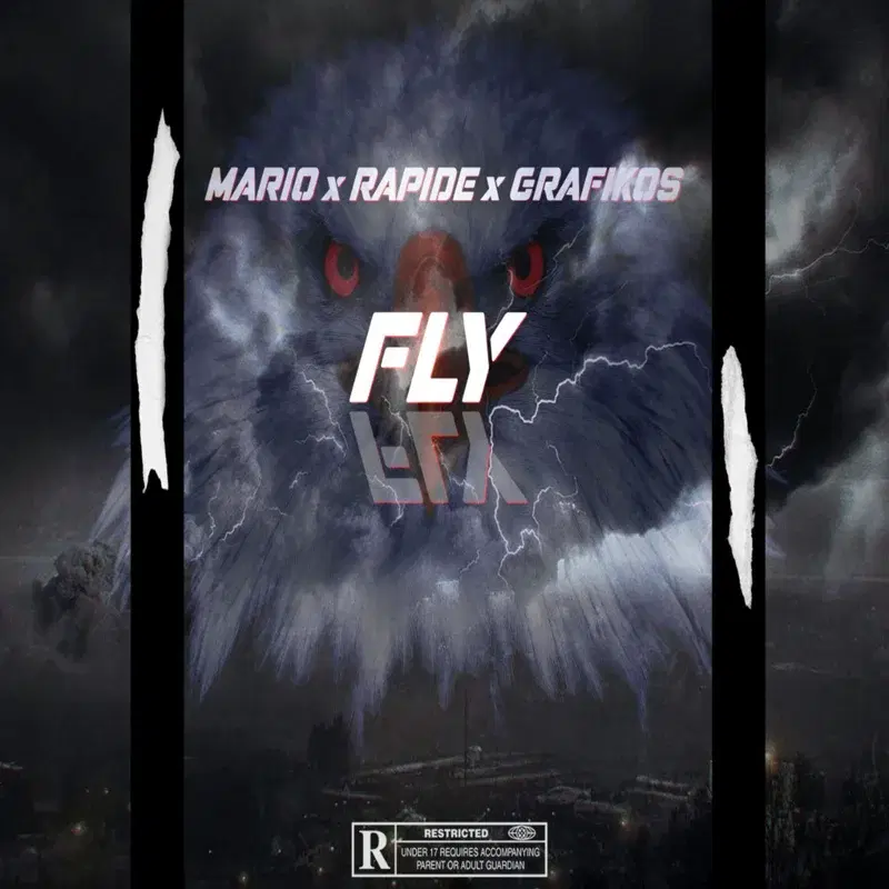 Cover Art