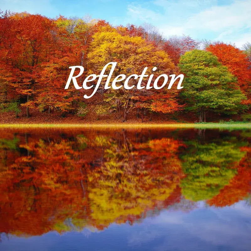 Reflection