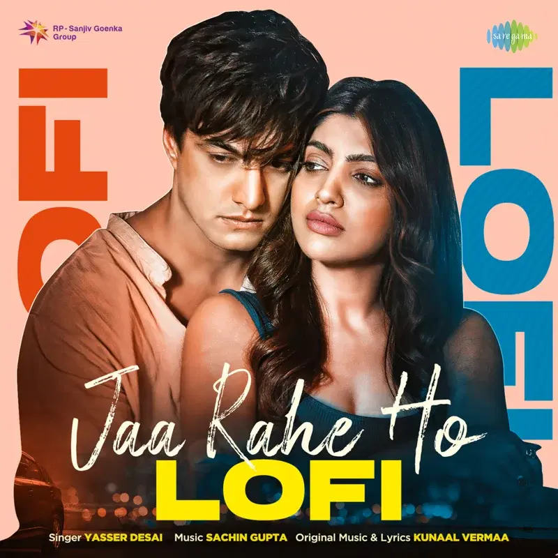 Jaa Rahe Ho (Lofi) - Single