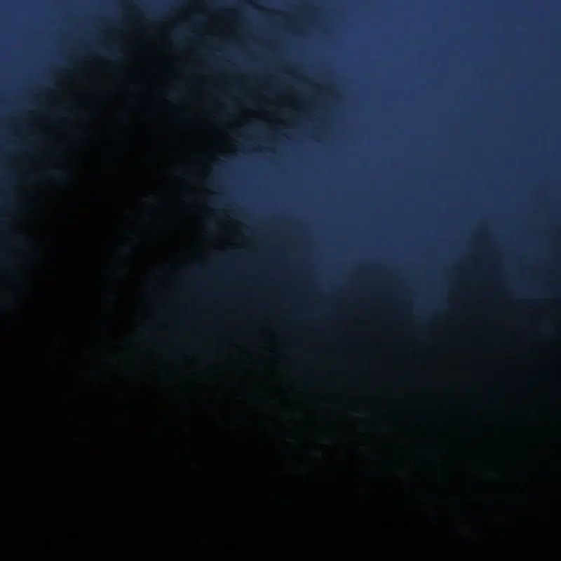nightless