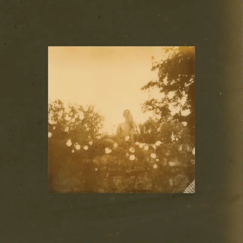 Pallid Dreams