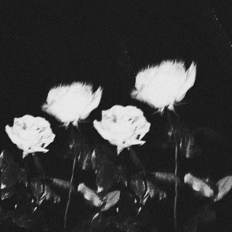 Feelings