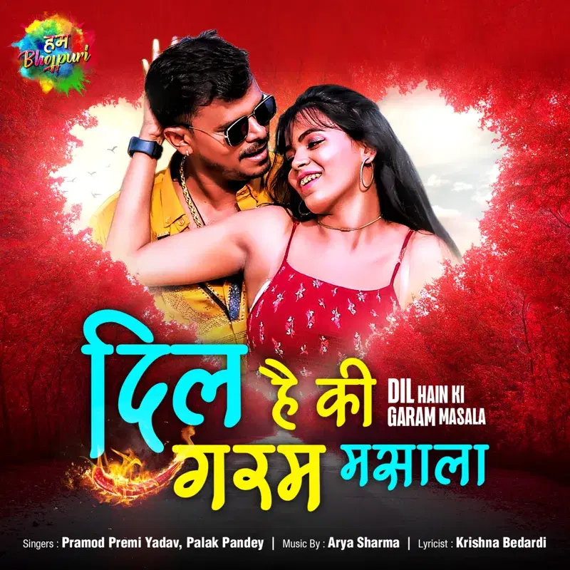Dil Hain Ki Garam Masala - Single