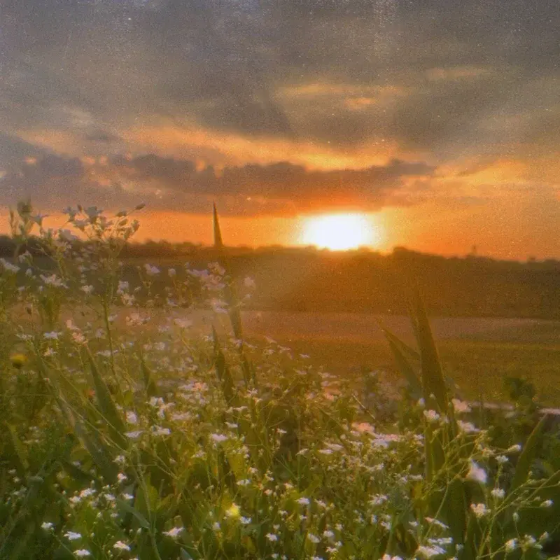 summerfall