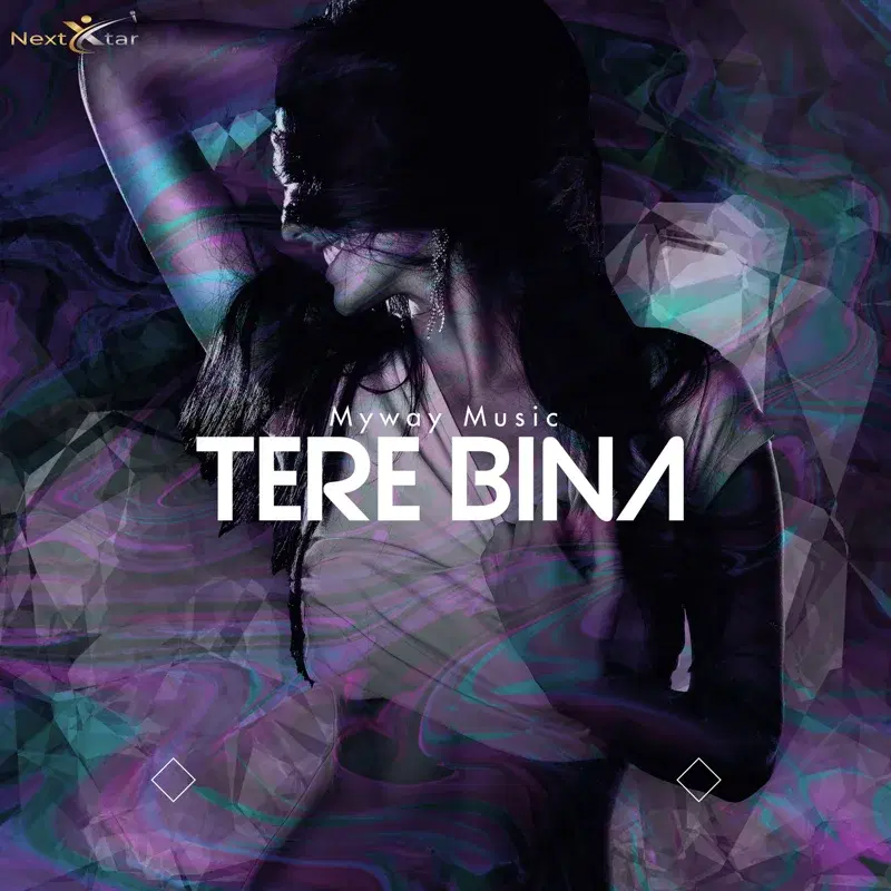 Tere Bina