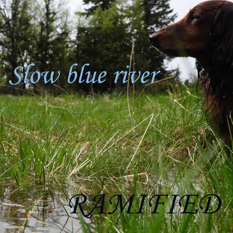 Slow blue river