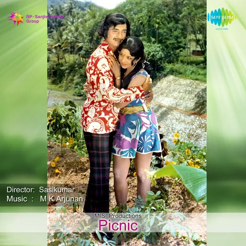 Picnic (Original Motion Picture Soundtrack)