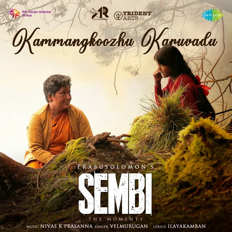 Kammangkoozhu Karuvadu (From "Sembi") - Single