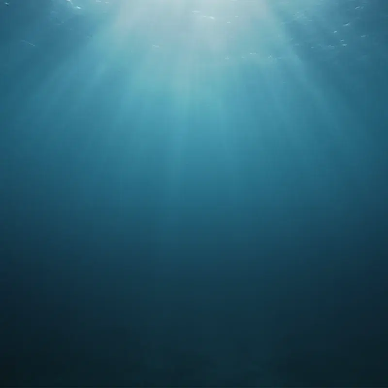 Vanished