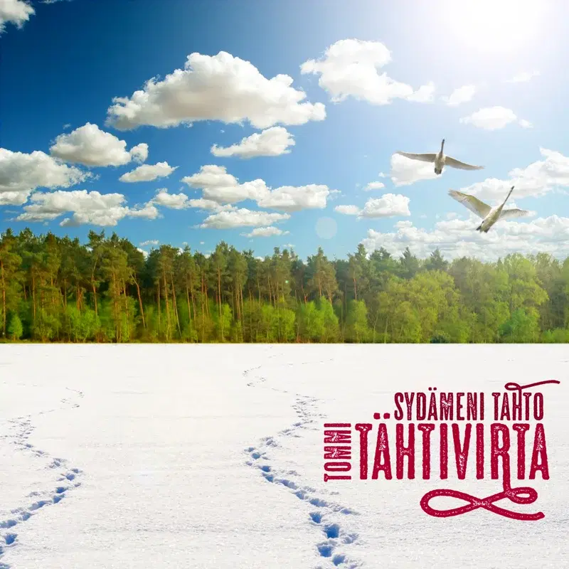 Sydämeni tahto