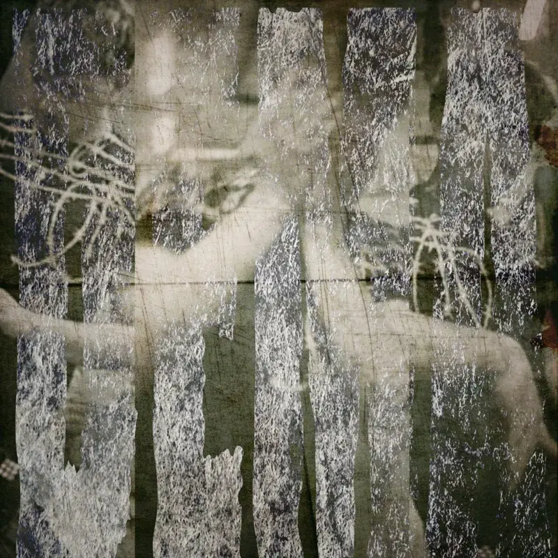 DEMA
