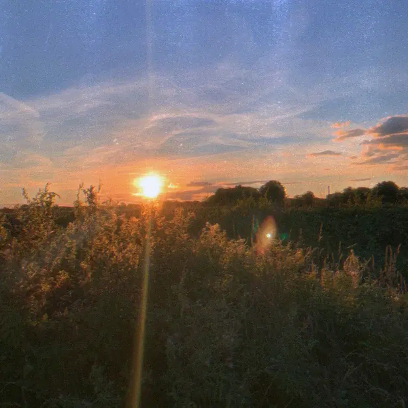 painted skies