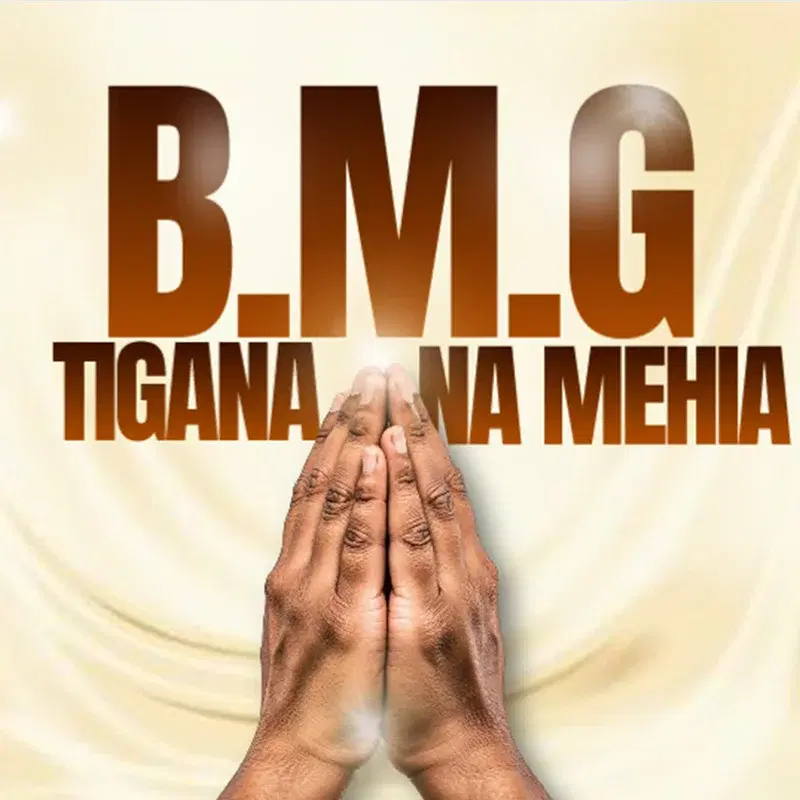 Tigana Na Mehia
