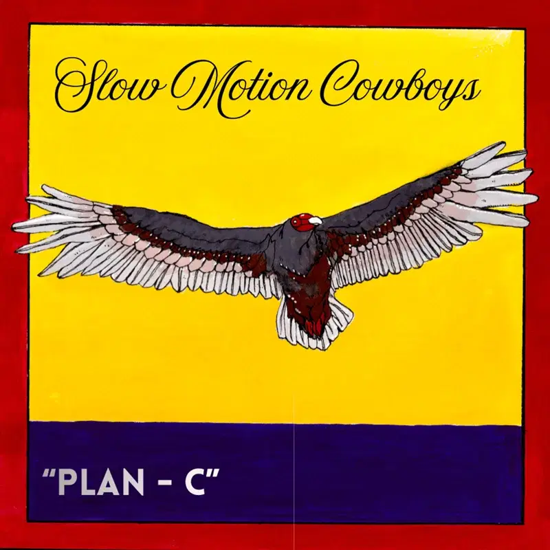Plan-C