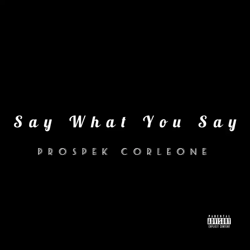 Say What You Say