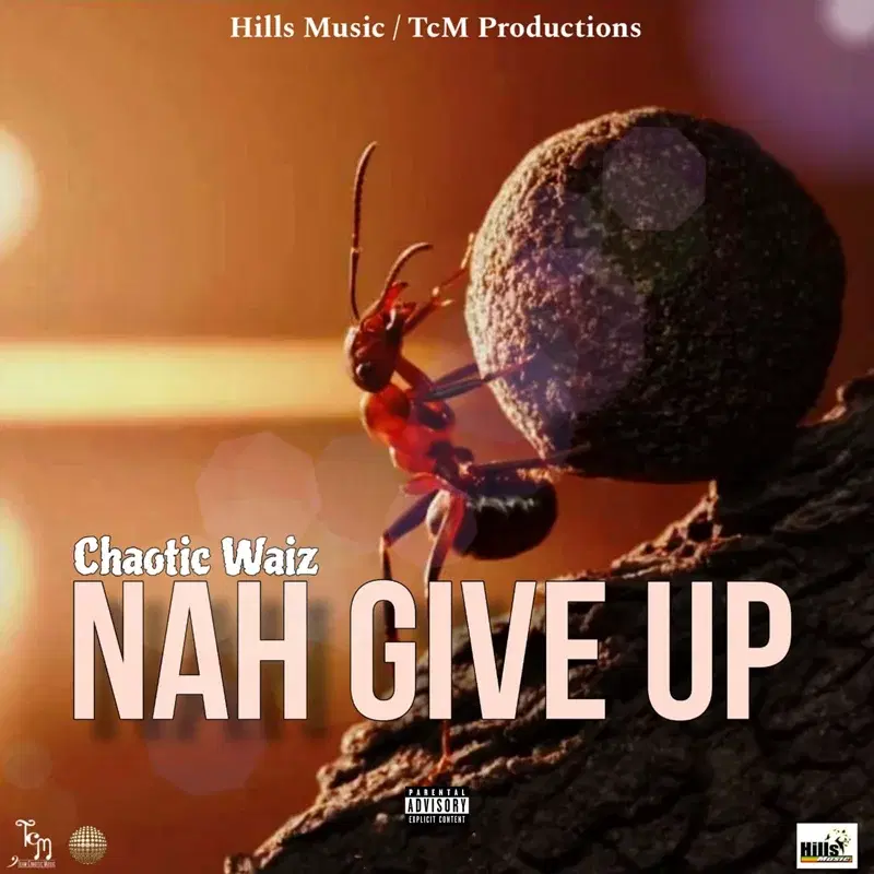 Nah Give Up