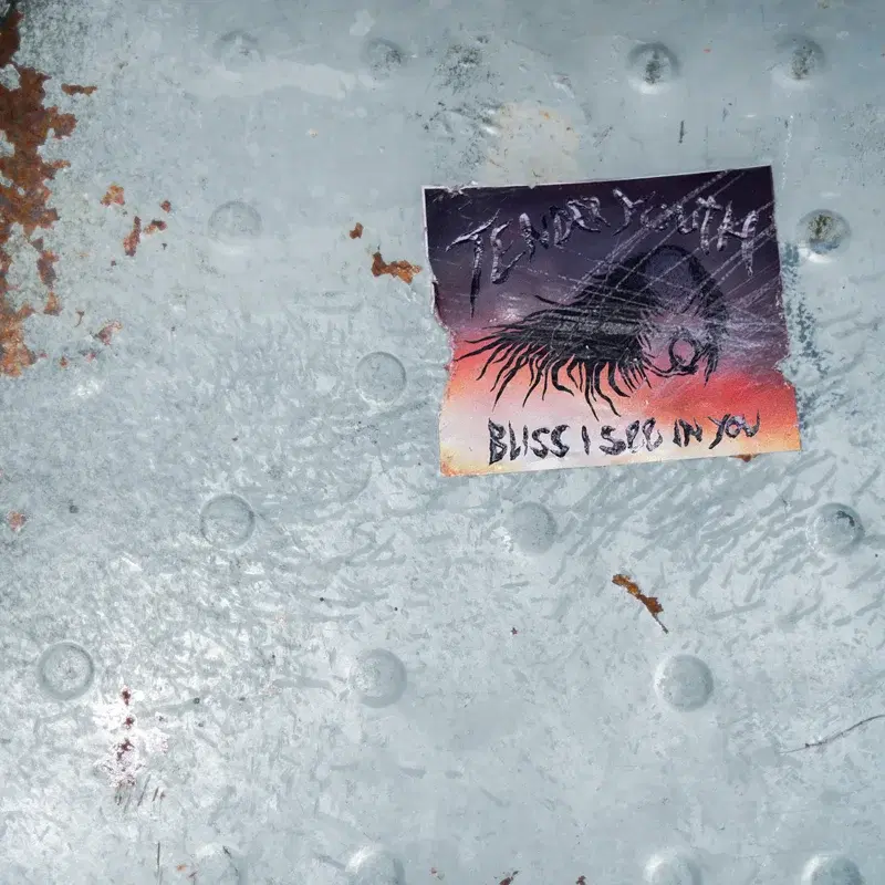 Bliss I See In You