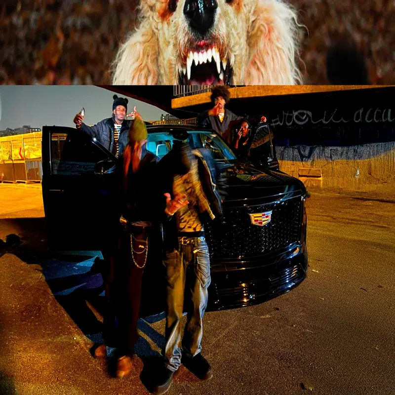 CANICHE
