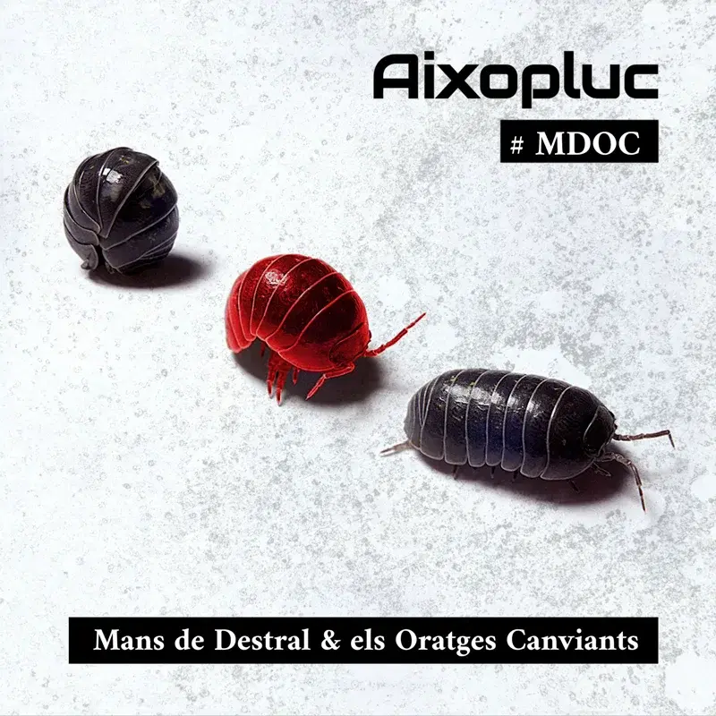 Aixopluc