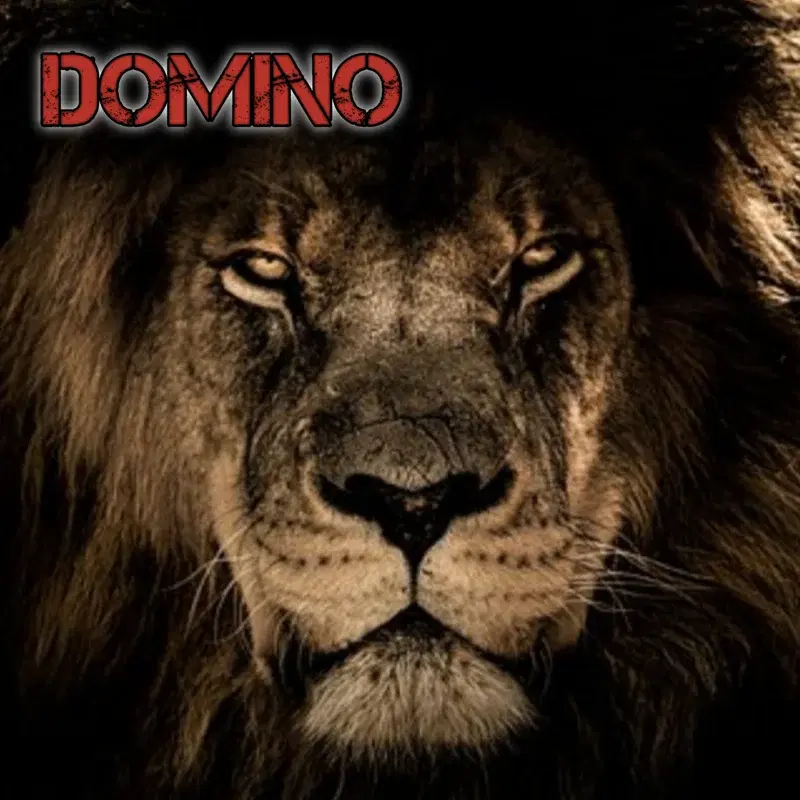 Domino