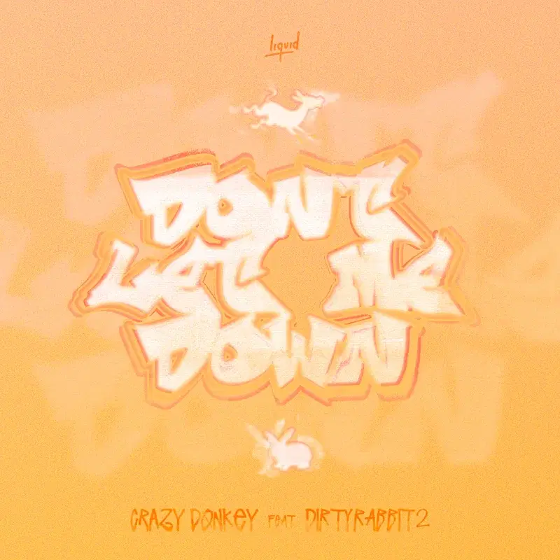 Don't Let Me Down