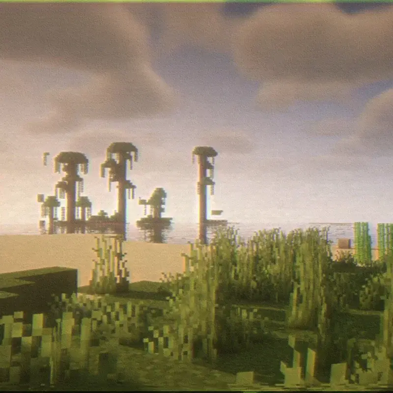 echo dream