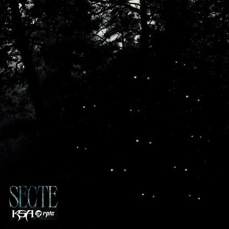 Secte