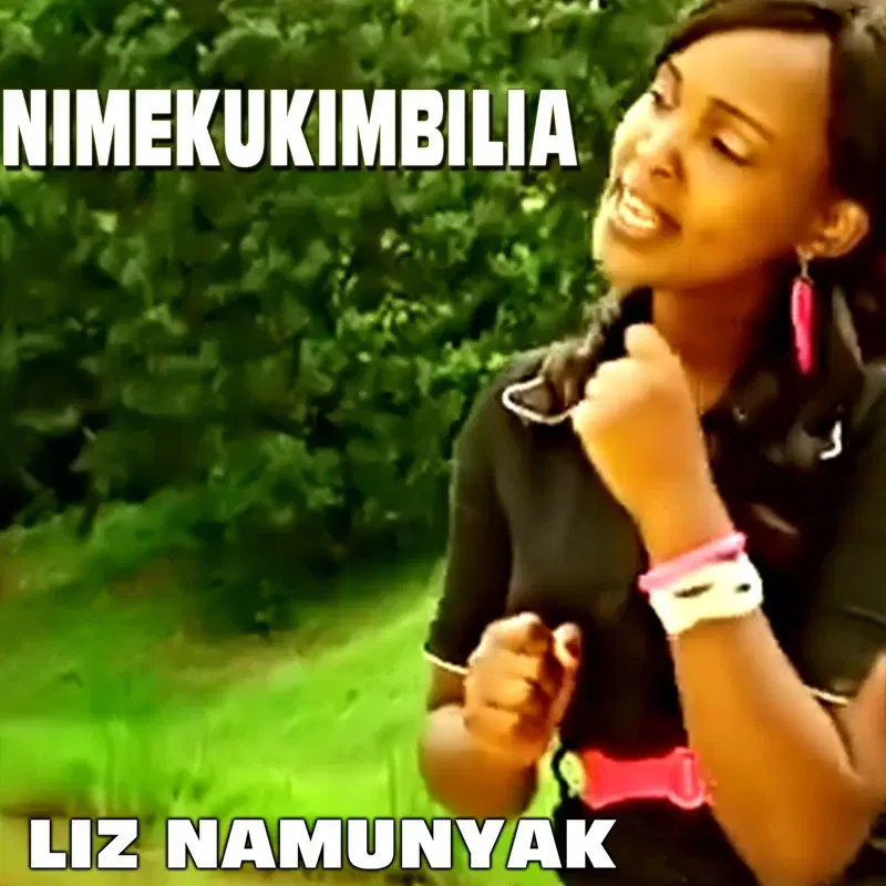 Nimekukimbilia - Single