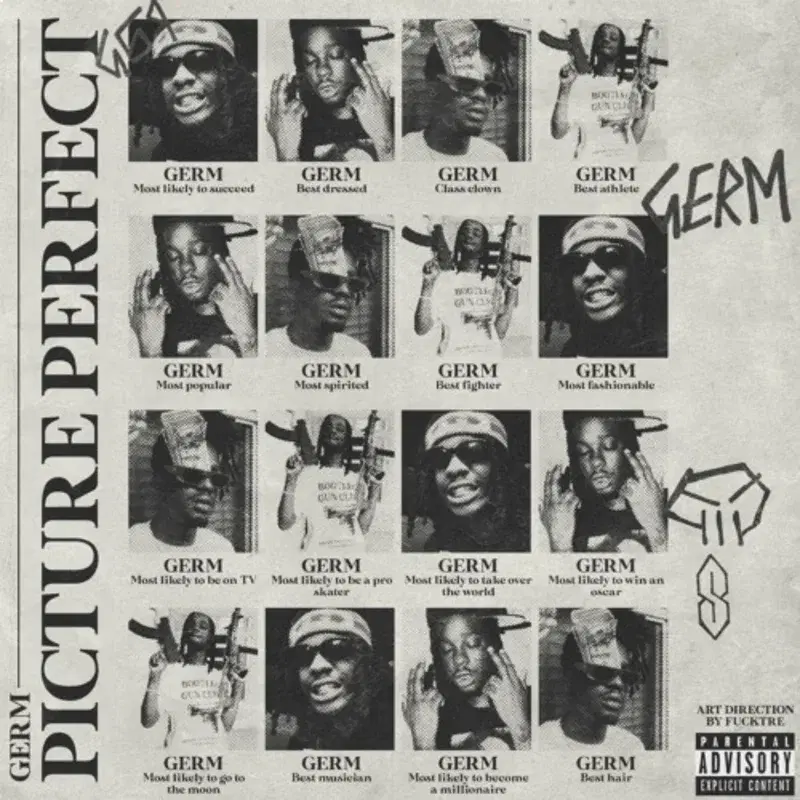 PICTURE PERFECT